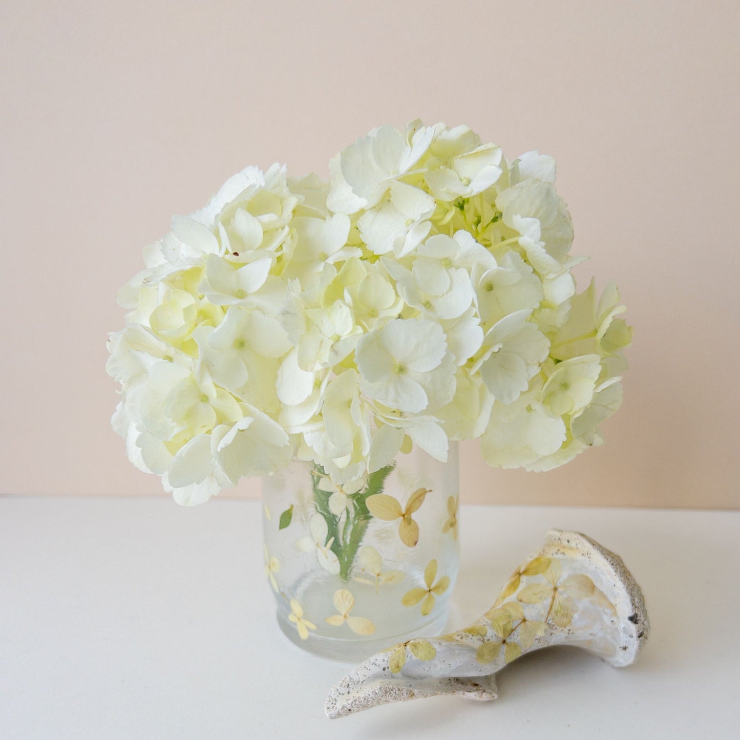Oakleaf Hydrangea | Pressed Floral Vase