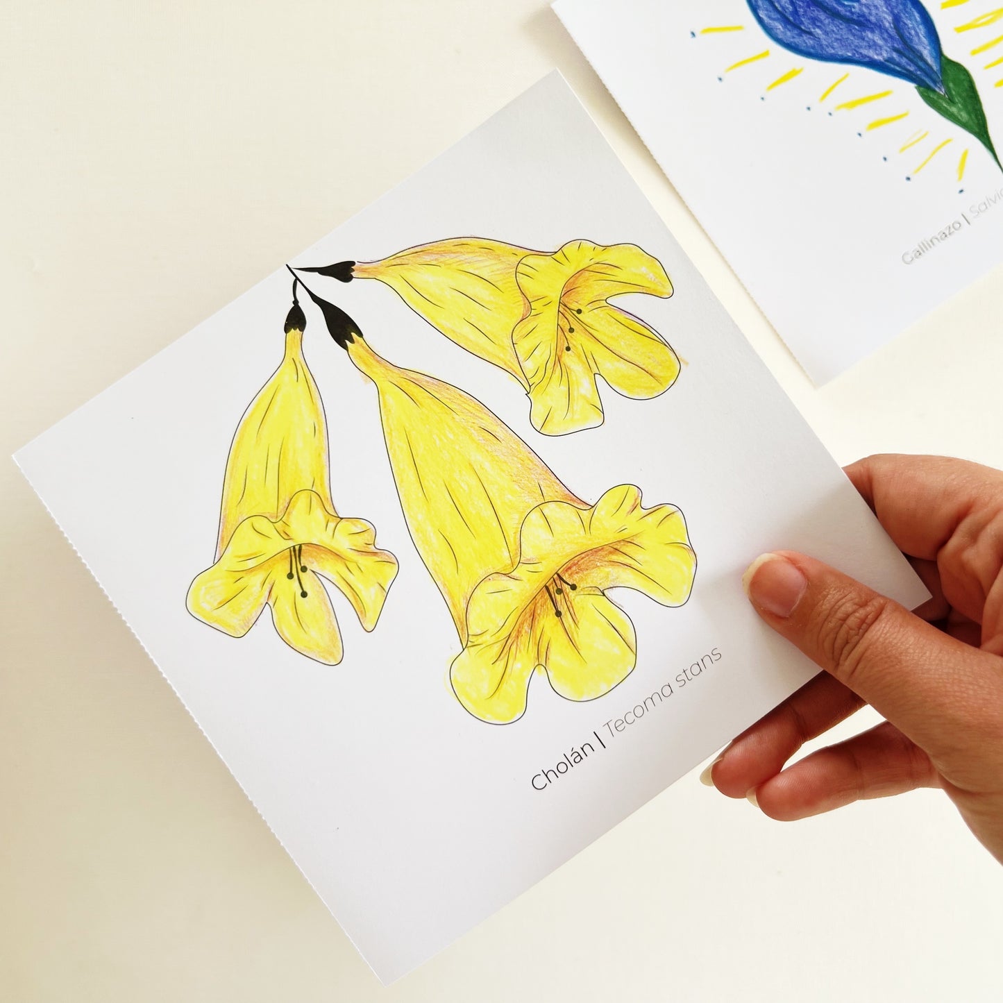 The Serene Garden Book