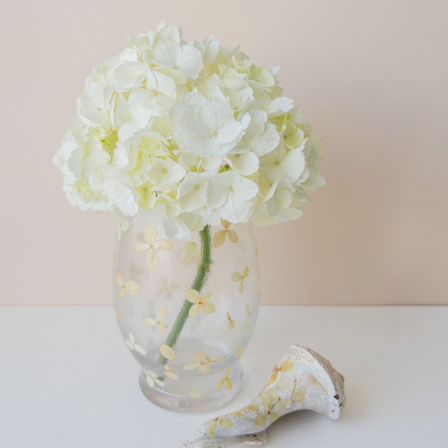 Oakleaf Hydrangea | Pressed Floral Vase