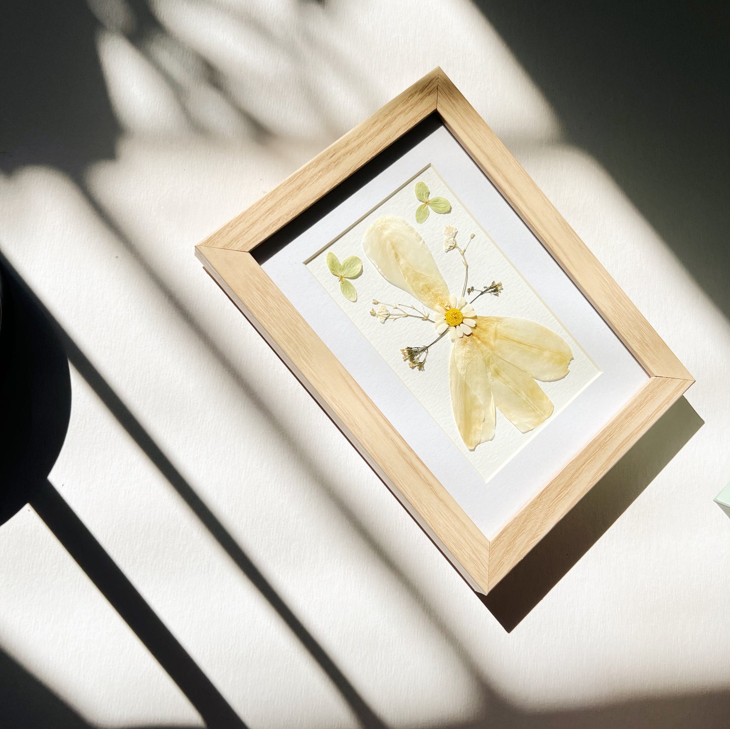 Pressed flower picture frame hanging on wall with Iris Hydrangea Astrantia and Margarita flowers on white background inside natural wood frame