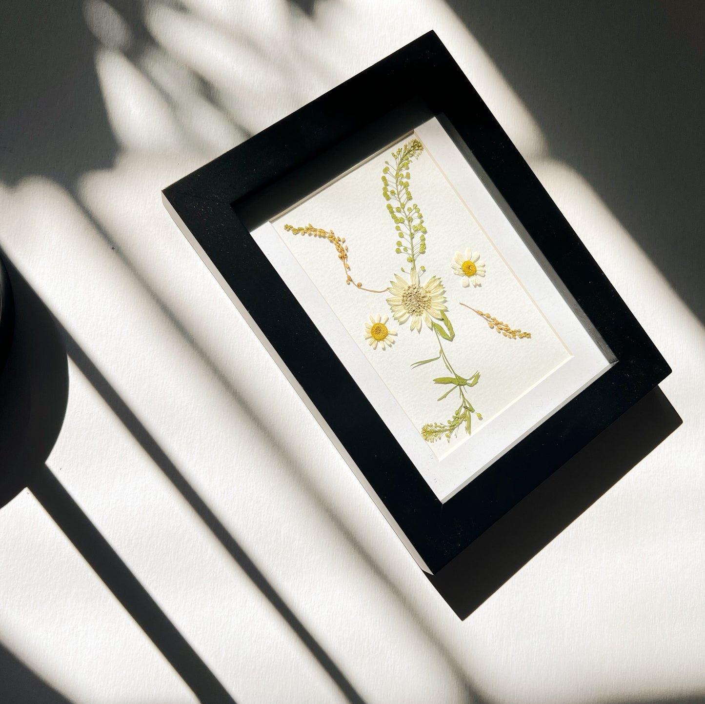 Pressed flower picture frame hanging on wall with white flowers and green and brown leaves on white background inside black wood frame
