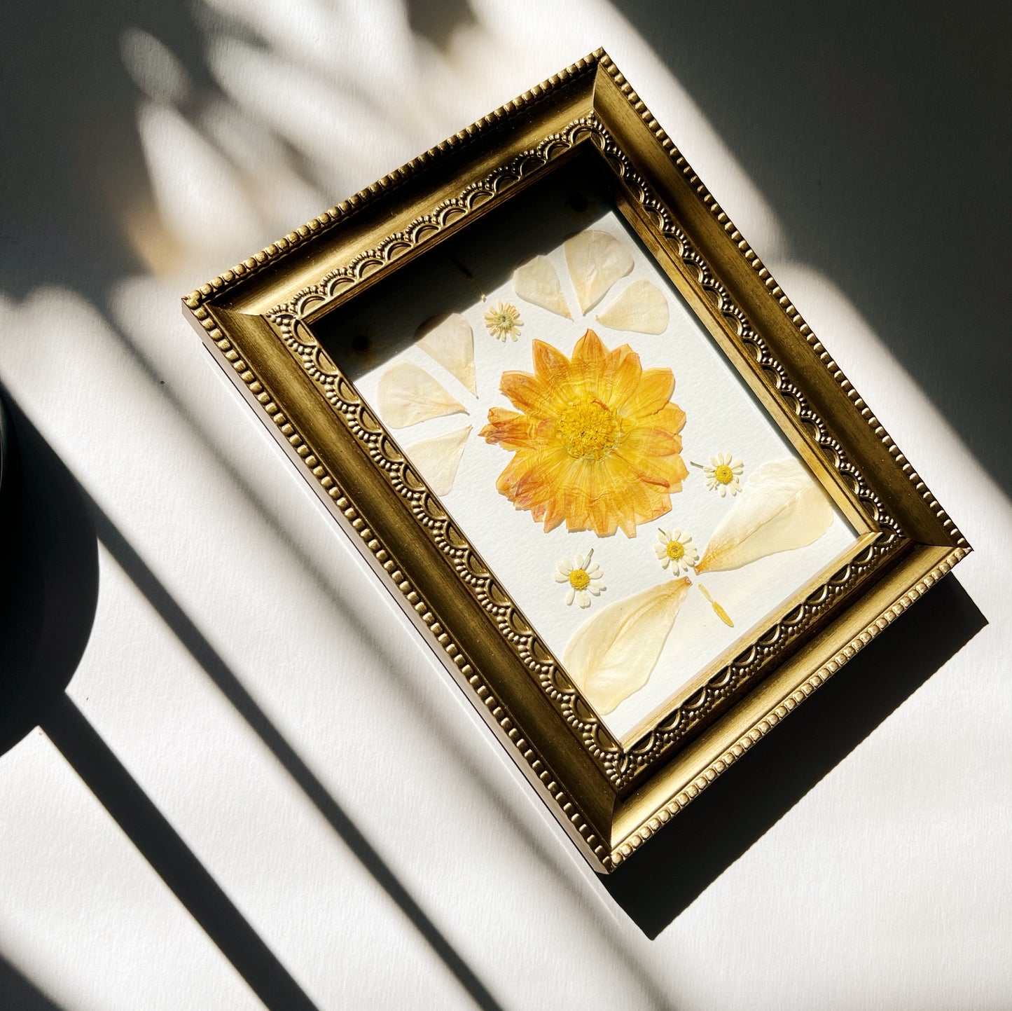 Pressed flower picture frame hanging on wall with yellow Dahlia flower and Chamomile Ranunculus and Tulips on white background inside ornate golden wood frame