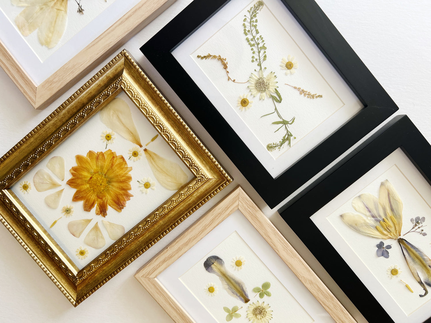 Framed Floral Amulets