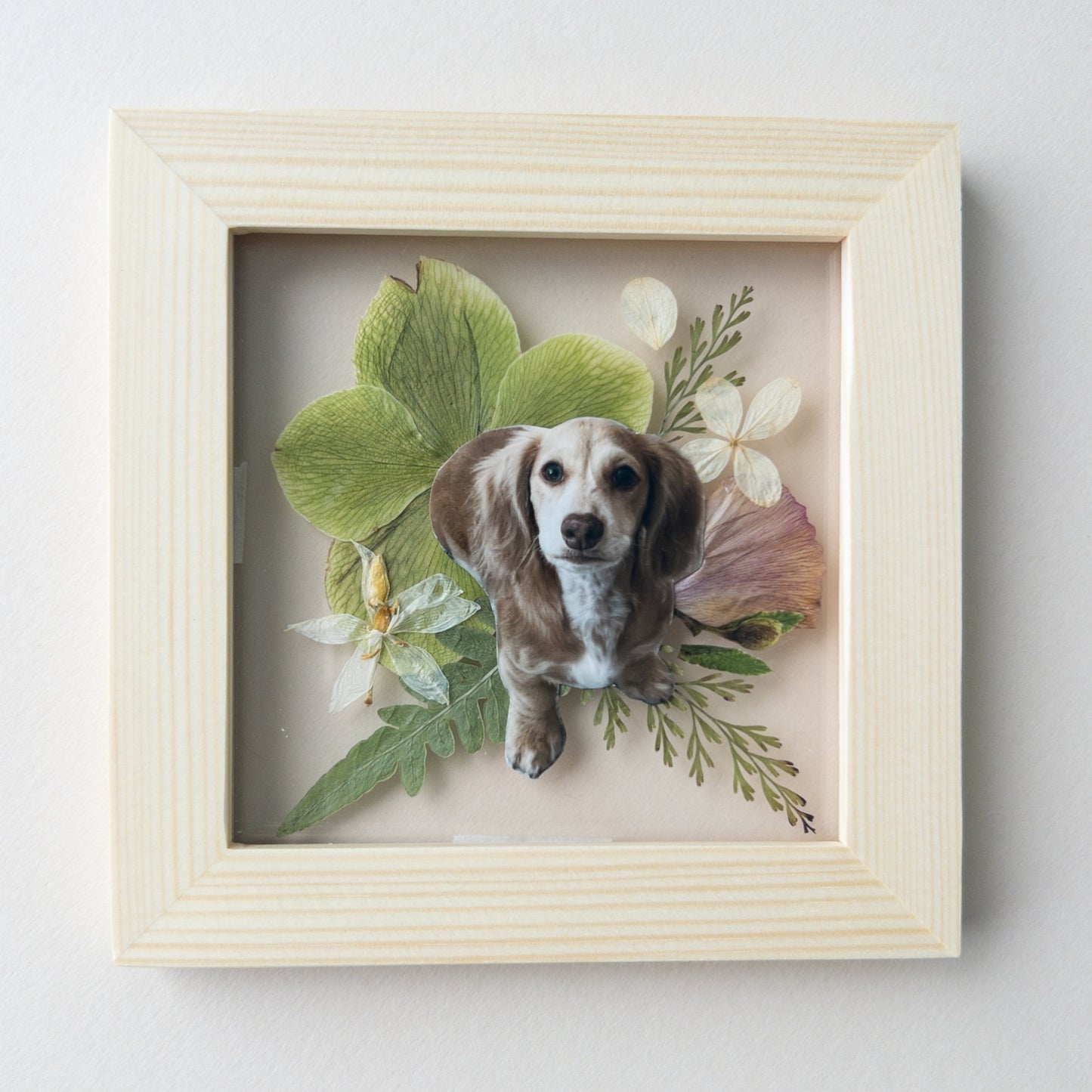 Pressed Flower Pet Portrait