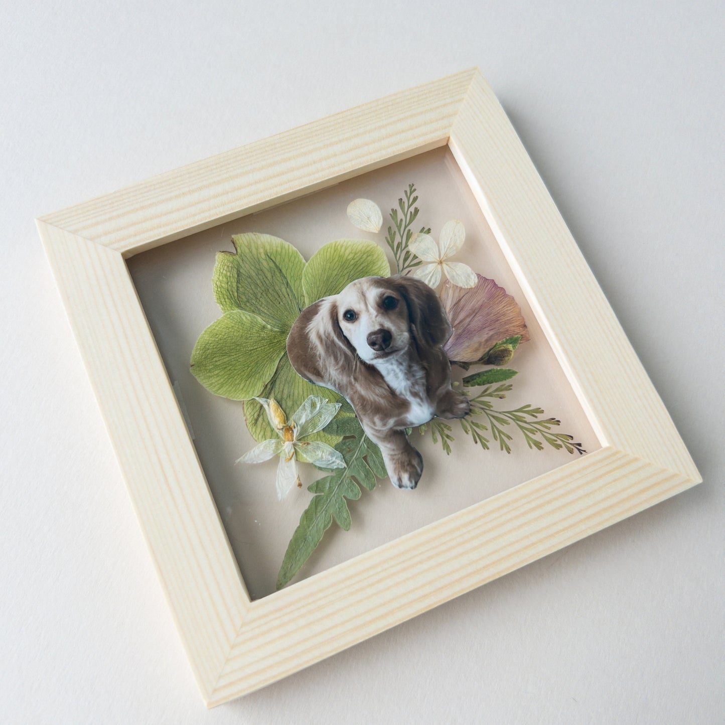 Pressed Flower Pet Portrait