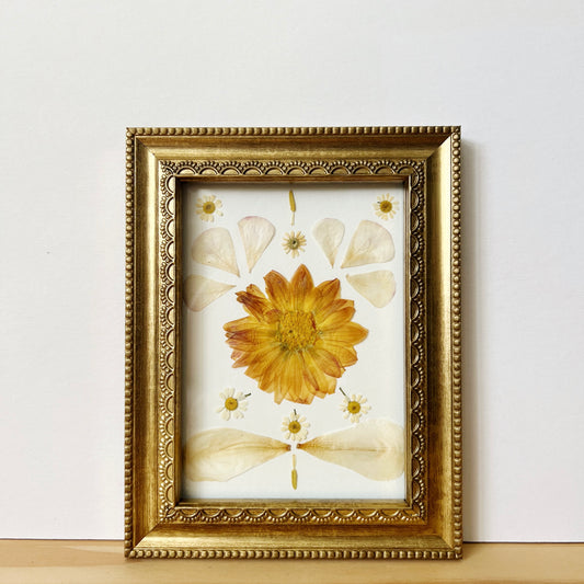 Pressed flower picture frame with yellow Dahlia flower and Chamomile Ranunculus and Tulips on white background inside ornate golden wood frame