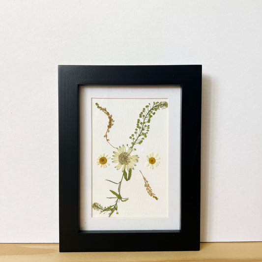 Pressed flower picture frame with white flowers and green and brown leaves on white background inside black wood frame