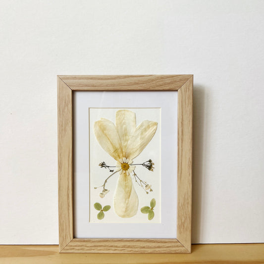 Pressed flower picture frame with Iris Hydrangea Astrantia and Margarita flowers on white background inside natural wood frame